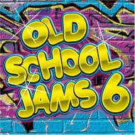 Various/Old School Jams Vol.6