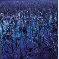 �Ddoro / ��meguru