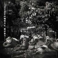 ���������̏ꏊ���ƁA�N������