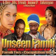 Various/Unseen Famili Compilation Vol.1