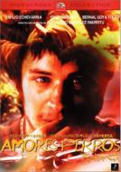 Amores Perros Special Collector`s Edition