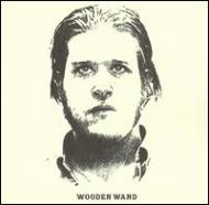 Wooden Wand/Harem Of The Sundrum  The Witness Figg
