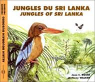 󥺡֡ͥ㡼/Jungles Of Sri Lanka