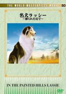 �������b�V�[