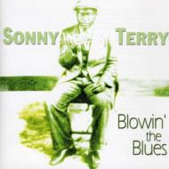 Sonny Terry/Blowin The Blues