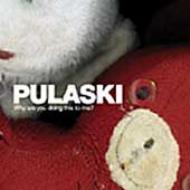 Pulaski/Why Are You Doing This To Me