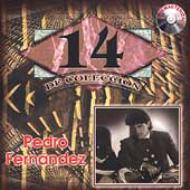 Pedro Fernandez/14 Exitos De Coleccion