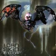 Torn Skin/Mislead