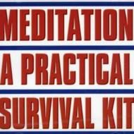 Allen Holmquist/Meditation A Practical Survival Kit