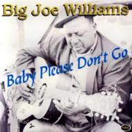 Big Joe Williams/Baby Please Don't Go