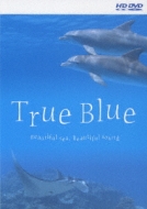 True Blue Beautiful Sea.Beautiful Sound