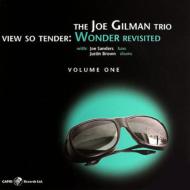 Joe Gilman/View So Tender Wonder Revisited Vol.1