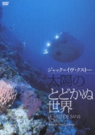 Le Monde Sans Soleil