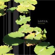 L. o.t. u.s (池田聡 / 中西圭三 / 赤崎郁洋)/Folklore