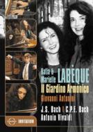 The Italian Bach In Vienna: Labeque(P)Antonini / Il Giardino Armonico