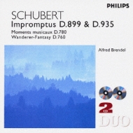Schubert: Impromptus.Moments Musicaux.Etc.