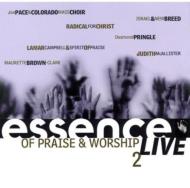 Various/Essence Of Praise  Worship Vol.2 Live