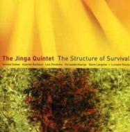 Jinga Trio / Quintet/Structure Of Survival