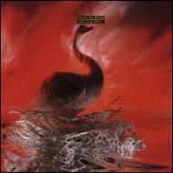 Speak & Spell �yCopy Control CD�z