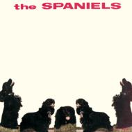 The Spaniels