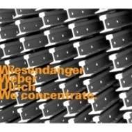 Chris Wiesendanger / Christian Weber / Dieter Ulrich/We Concentrate