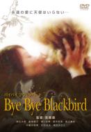 Bye Bye Blackbird
