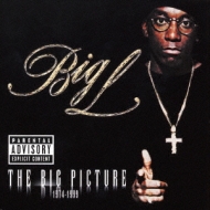廃盤LP Big L The Big Picture 2枚組 レコード Big Picture : Big L | HMV&BOOKS online - UICY-6093