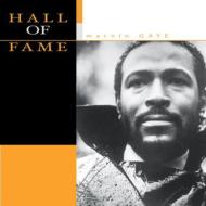 Marvin Gaye/Hall Of Fame