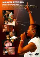 Jamaican Explosion: Summer Sizzle Concert 2004