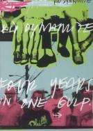 Four Years In One Gulp