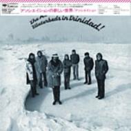 Waterbeds In Trinidad!