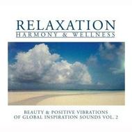 Various/Global Inspiration Sounds： Vol.2