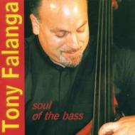 Tony Falanga/Soul Of The Bass