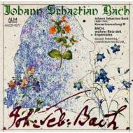 Хåϡ1685-1750/Concertos Vol.3 ׸¤(Cemb) / 륹ࡦॸ