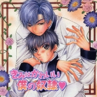 Kimiwa Kawaii Boku No Dorei*