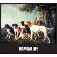 Grand Gallery Presents::Diamond Life