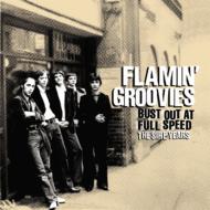 Bust Out At Full Speed: Sire Years