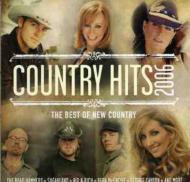 Various/Country Hits 2006