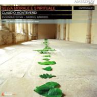 �w�ϗ��I�E�@���I�ȐX�x�@�K�b���[�h���G���}�E�A���T���u���A���i4CD�j