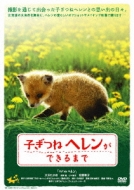 Kogitsune Heren Ga Dekirumade