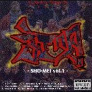 Various/ Vol.1