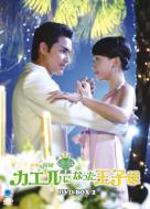 ���q�̐^: �J�G���ɂȂ������q�l: 2