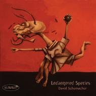 David Schumacher/Endagered Species