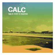 Twelve Steps To Whatever