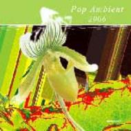 Various/Pop Ambient 2006