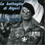 La Battaglia Di Algeri
