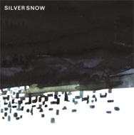 Silver Snow