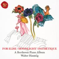 A Beethoven Piano Album