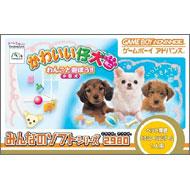 ���킢���e���~�j: ��񂱂ƗV�ڂ�: �݂�Ȃ̃\�t�g�V���[�Y2980