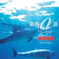 ��t: �_�o�x�{